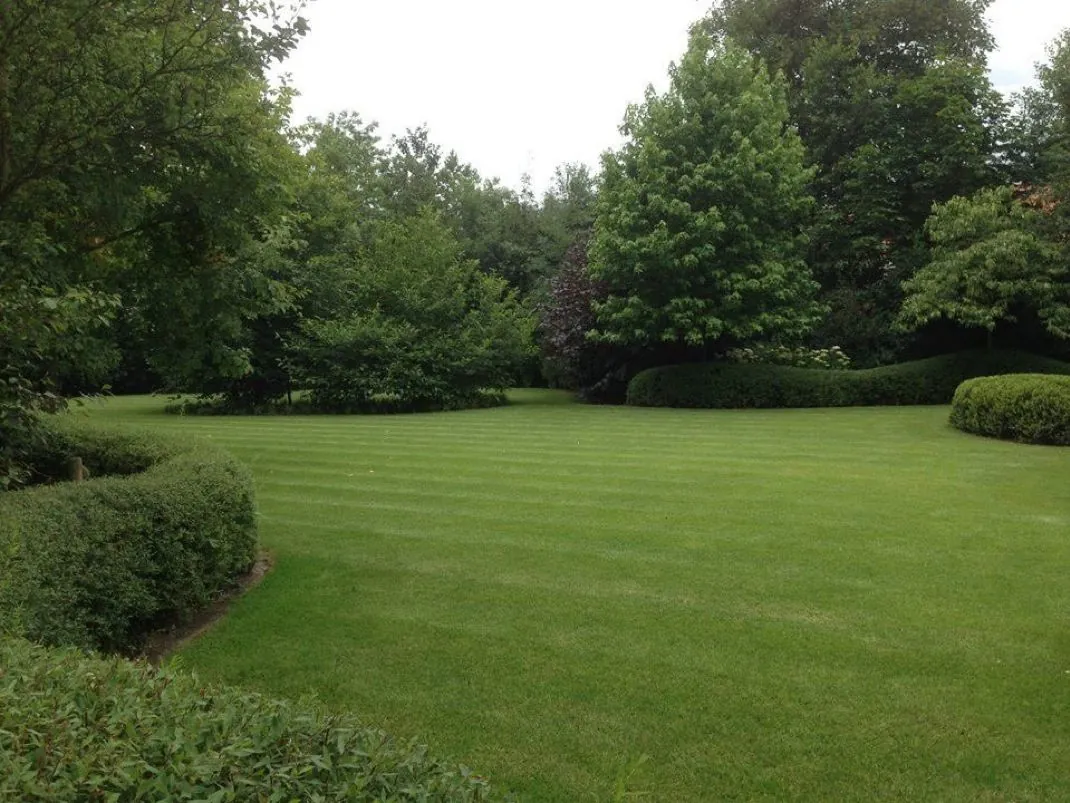 Après — Massifs & pelouse à Sens