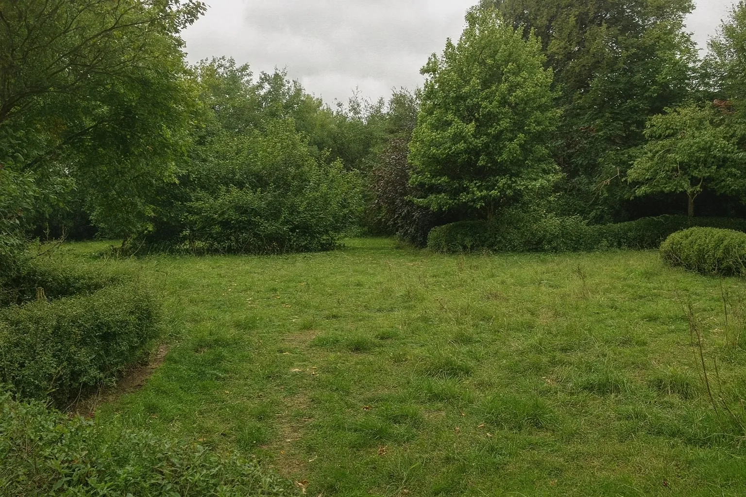 Avant — Massifs & pelouse à Sens